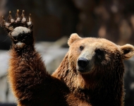 三年来的第四个熊市，海外MSCI ETF维持买入